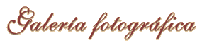 Galer&iacute;a fotogr&aacute;fica